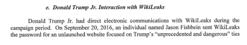 Mueller Report - WikiLeaks Fueled Seth Rich Conspiracy Theories Mueller Report - WikiLeaks Fueled Seth Rich Conspiracy Theories