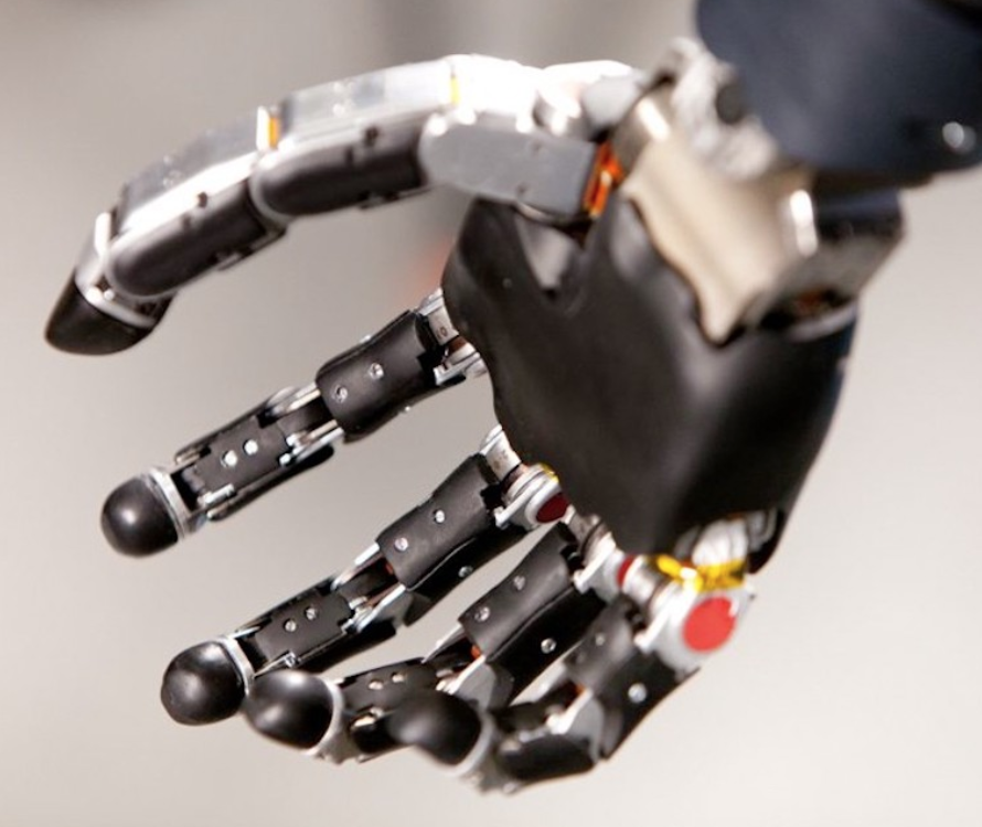 What is a Cyborg? — Part Two: Becoming Whole Again What is a Cyborg? — Part Two: Becoming Whole Again