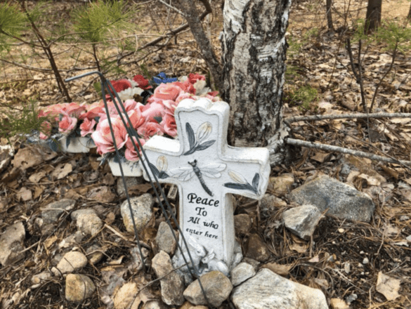 WTF Is Randonauts - A marker found while randonauting