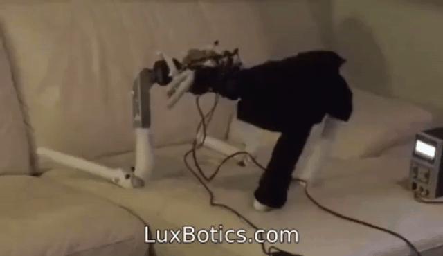 Love Machines — At Home with a Sex Robot Engineer